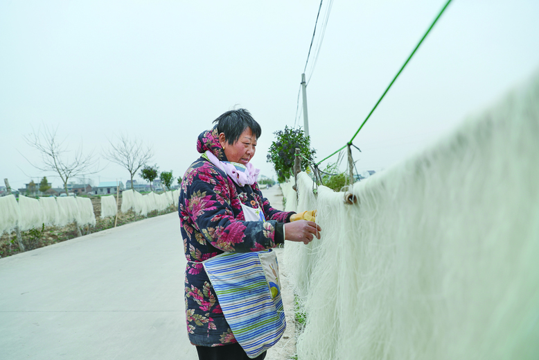 八灘鎮(zhèn)糧西村山芋粉絲