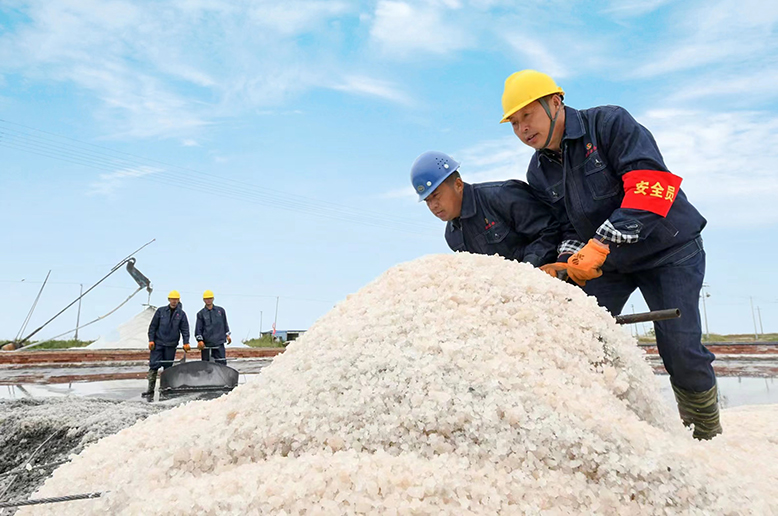 新灘鹽場進入春季扒鹽季