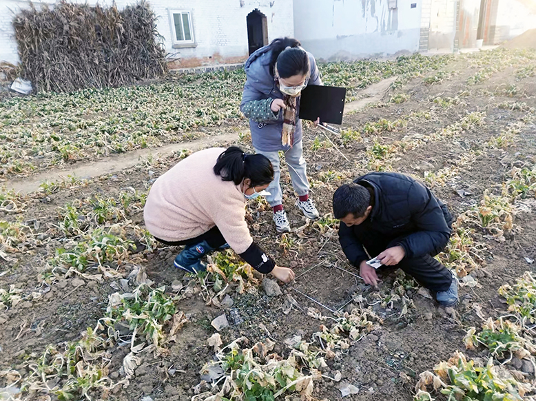 縣植保站開展春季農田雜草調查