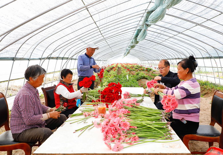 東坎街道三烈村鮮切花生產基地